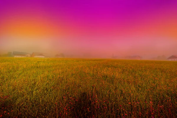 Morning mist over the Austrian landscape with forests, fields, pastures and meadows at sunset