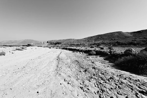 Osamělost Prázdnota Skalnatých Kopců Negevské Pouště Izraeli Dech Beroucí Krajina — Stock fotografie