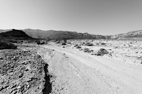 Самотність Порожнеча Скелястих Пагорбів Пустелі Негев Ізраїлі Дивовижний Краєвид Природа — стокове фото