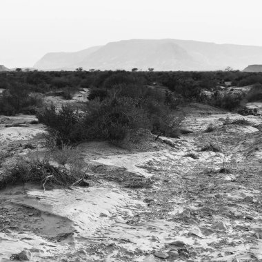 İsrail 'deki Negev Çölü' nün Rocky tepelerinin sonsuz ıssızlığı. Ortadoğu 'nun nefes kesici manzarası ve doğası. Siyah beyaz fotoğraf