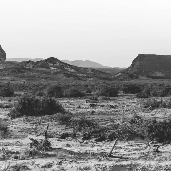 Desolate infinity of the Rocky hills of the Negev Desert in Israel. Breathtaking landscape and nature of the Middle East. Black and white photo