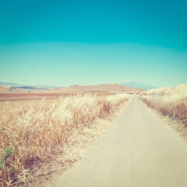 シチリア島のエトナ山につながるコムギ畑の間のアスファルト道路 Instagramの効果 — ストック写真