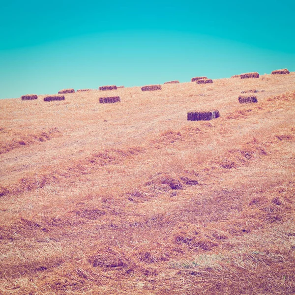 Siziliens Landschaft Mit Vielen Heubriketts Instagram Effekt — Stockfoto