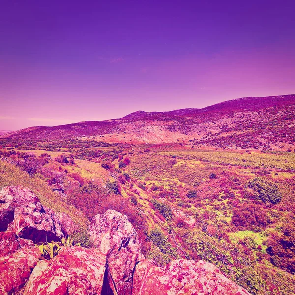 Golan Heights in the Spring at Sunset