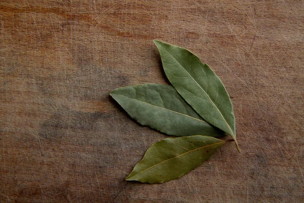 Fondo de hoja de laurel — Foto de Stock