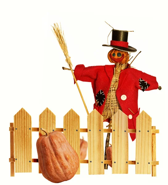 Garden scarecrow and fence — Stock Photo, Image