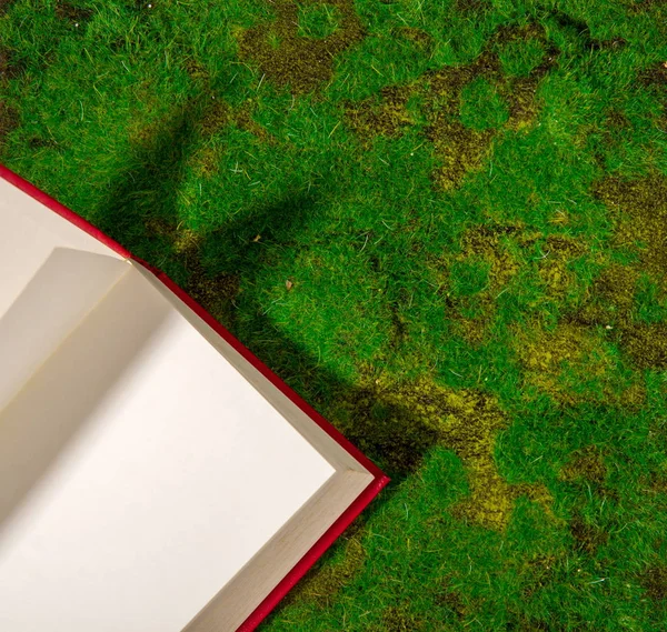 Book in grass — Stock Photo, Image