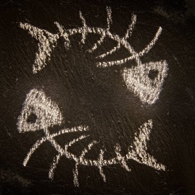 İki kavisli iskelet balığı siyah tahtaya beyaz tebeşirle çizilmiş yuvarlak bir çerçeve oluşturuyorlar.