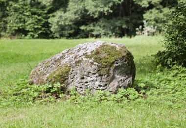 Çimenlerde yatan yosunlu kaya