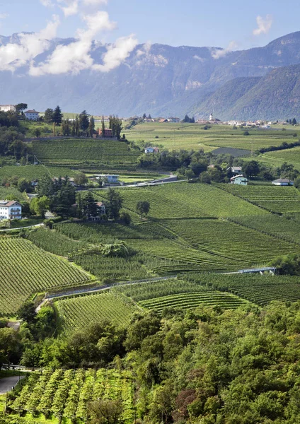 Campos en Tirol del Sur , — Foto de Stock
