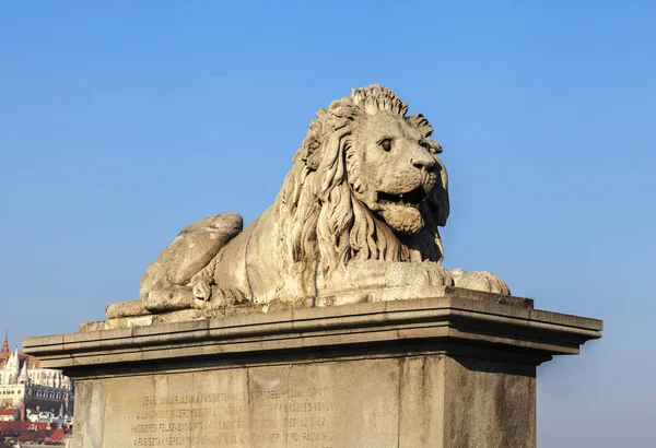 Lion on the Szechenyi Chain Bridge in Budapest — Stock Photo, Image