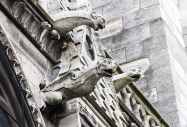Paris'te Notre Dame katedralgargoyles