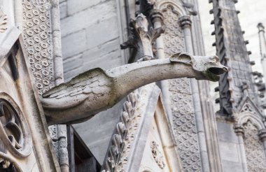 Paris'te Notre Dame katedrali Gargoyle