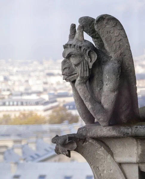Chimera na Notre Dame de Paris — Zdjęcie stockowe