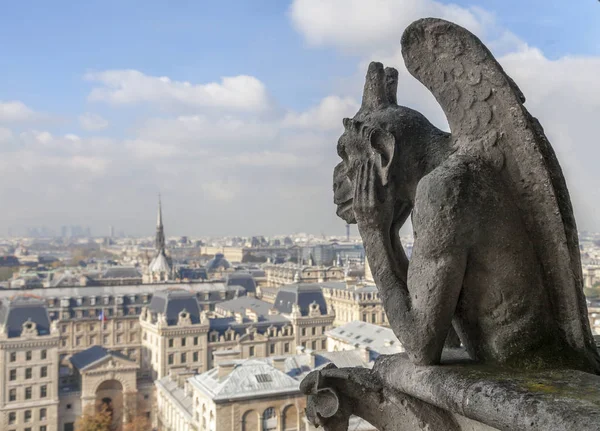 Chimera on Notre Dame de Paris Royalty Free Stock Photos