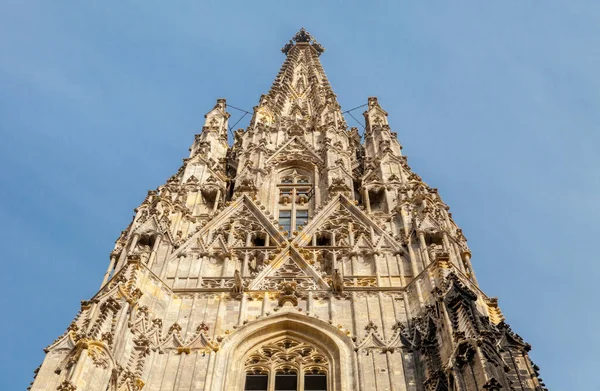 维也纳圣斯蒂芬大教堂尖塔 — 图库照片