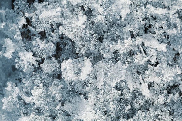 Cristales de nieve de primer plano para el fondo — Foto de Stock