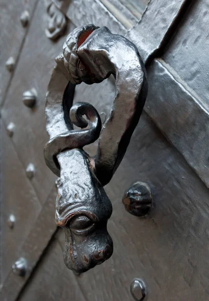 Дверной стук в форме змеи — стоковое фото