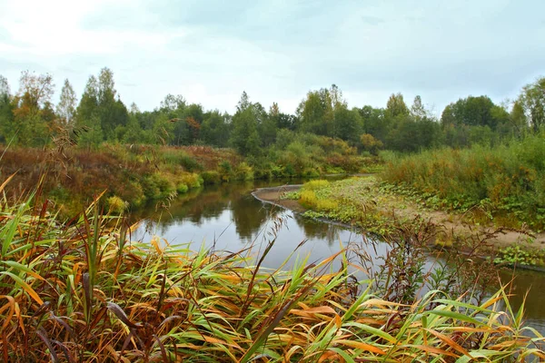 Narrow Small River Grassy Banks Summer Landscape — Stock Photo, Image