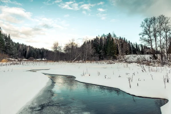 Neve cadde sull'erba gialla asciutta vicino al fiume. — Foto Stock