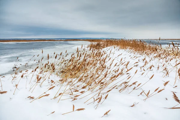 Salju jatuh di rumput kuning kering oleh sungai. — Stok Foto