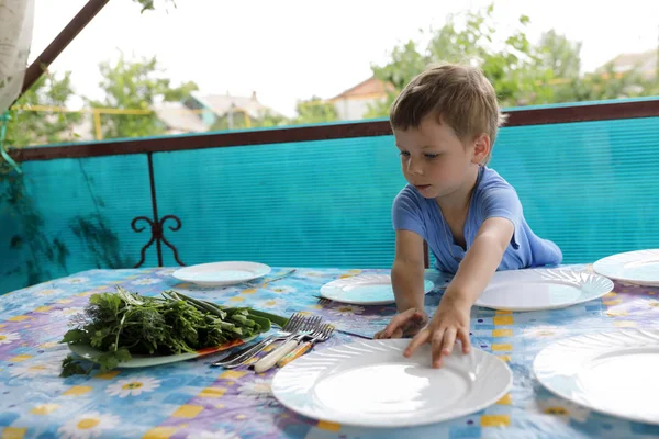 Niño Arregla Las Placas Mesa Patio Trasero — Foto de Stock