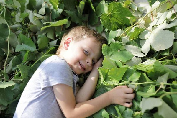 孩子躺在葡萄树叶在后院 — 图库照片
