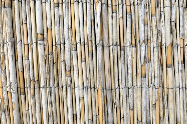 Details Wall Bamboo Rods Background — Stock Photo, Image