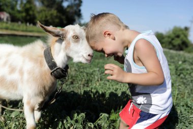 Çocuk ve keçi çözüyor ile oynamak