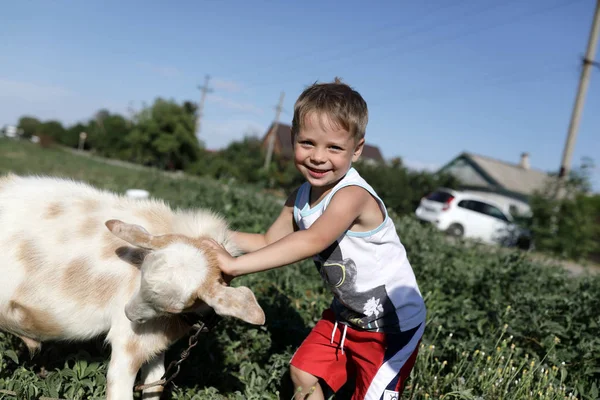 Dziecko Bawi Się Kóz Gospodarstwie — Zdjęcie stockowe