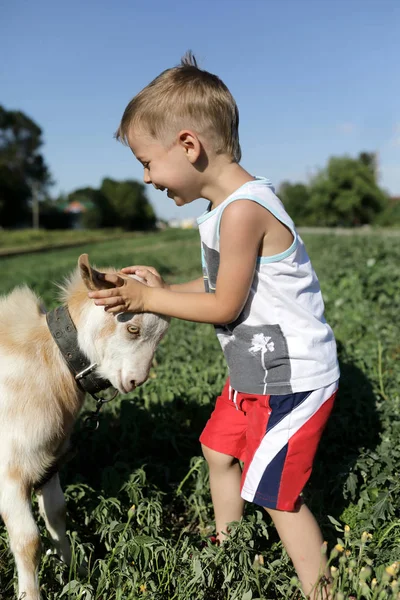 Junge Spielt Mit Ziege Auf Dem Bauernhof — Stockfoto