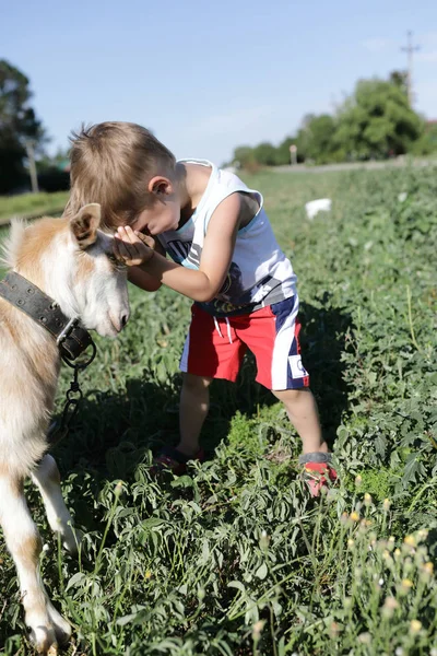 Enfant Jouant Avec Chèvre Ferme — Photo