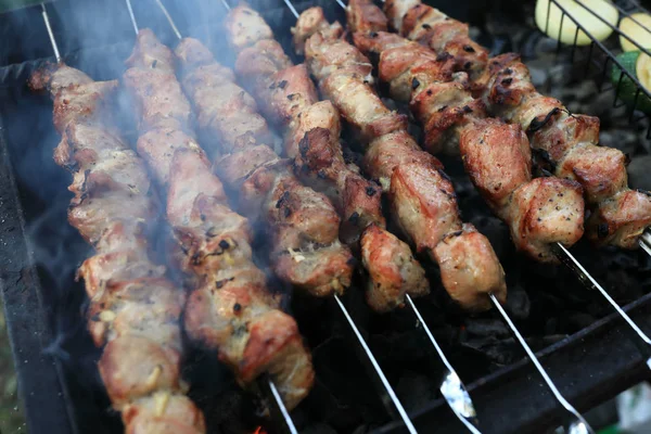 Matlagning Fläsk Kebab Spett Picknick — Stockfoto