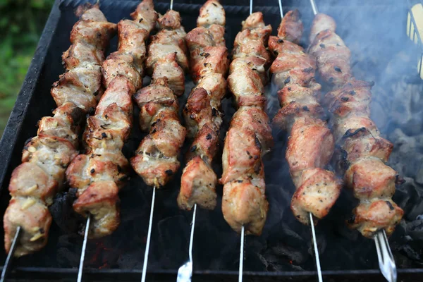 Frying Pork Kebabs Skewers Picnic — Stock Photo, Image