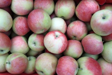 Elma Asya piyasada ayrıntılarını