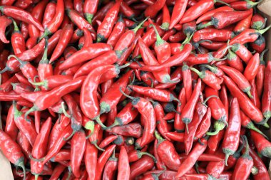 Pazar kutusunda kırmızı biber