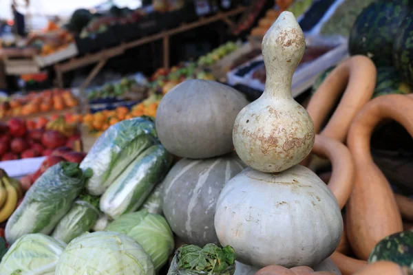 Détails Citrouille Fantaisie Sur Marché — Photo