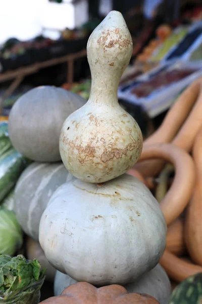 Pemandangan Labu Mewah Pasar — Stok Foto