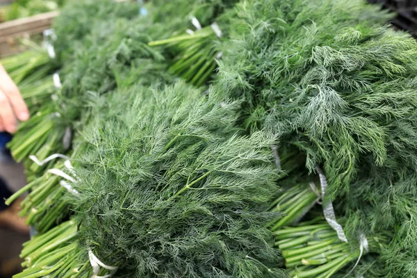 Details Dill Asian Market — Stock Photo, Image