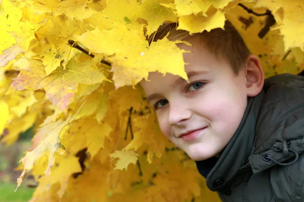 秋の公園で少年の肖像画 — ストック写真