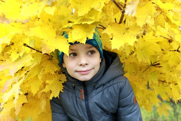 Retrato Niño Parque Otoño —  Fotos de Stock