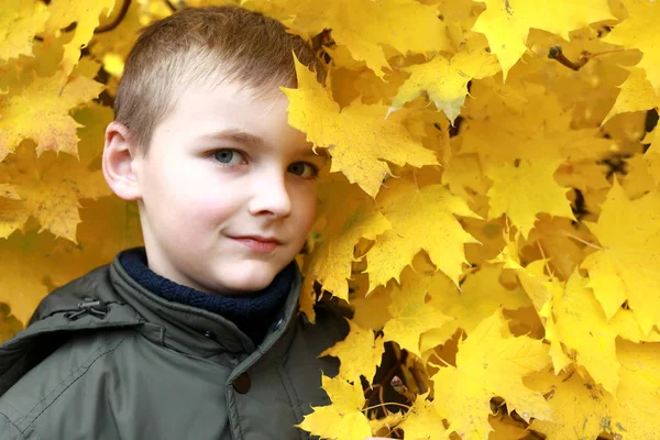 Porträtt Kid Parken Hösten — Stockfoto