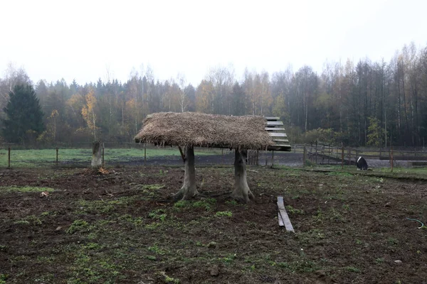 View Wooden Canopy Farm Autumn — Stock Photo, Image