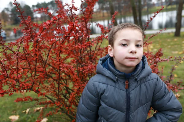 一个男孩在秋天公园的肖像 — 图库照片