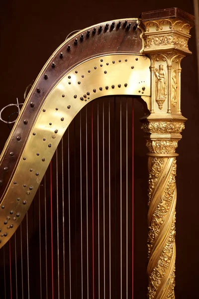 Detalhes Harpa Fundo Borgonha — Fotografia de Stock