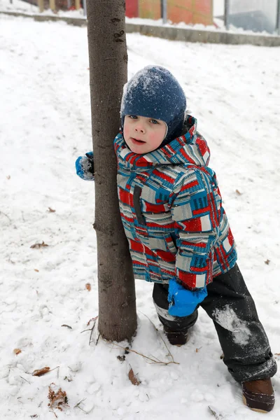 Kind Lehnt Sich Winterpark Baumstamm — Stockfoto