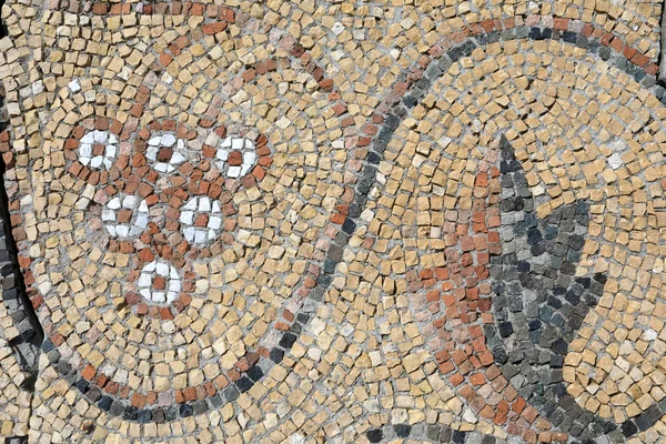 Detalhes de piso antigo mosaico — Fotografia de Stock