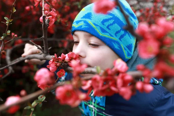 少年はリンゴの赤い花を嗅ぐ — ストック写真