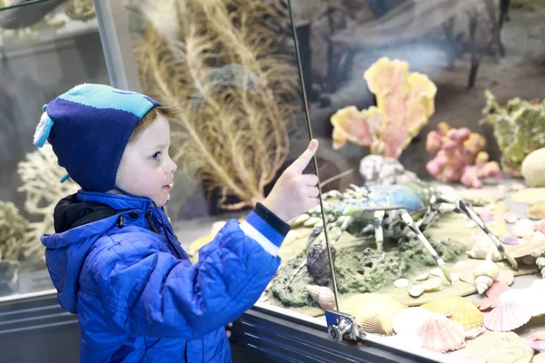 Niño viendo peces — Foto de Stock