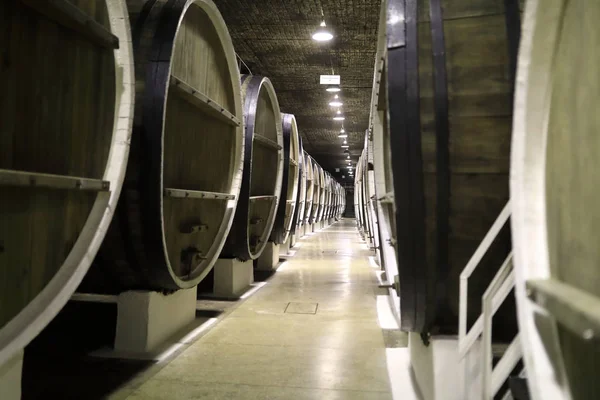 Row of big wooden barrels — Stock Photo, Image